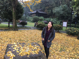 张莹     讲师